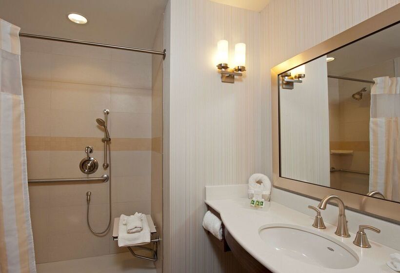 فندق Hilton Garden Inn Indianapolis Downtown