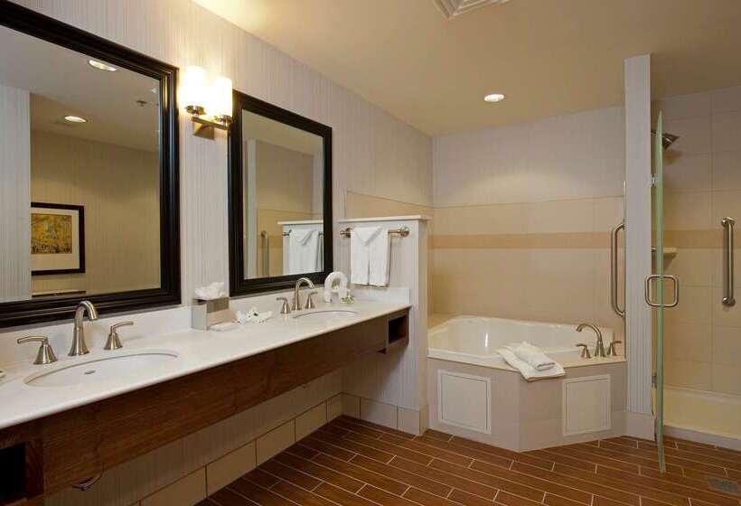 فندق Hilton Garden Inn Indianapolis Downtown