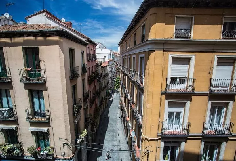 هتل Petit Palace Plaza Mayor