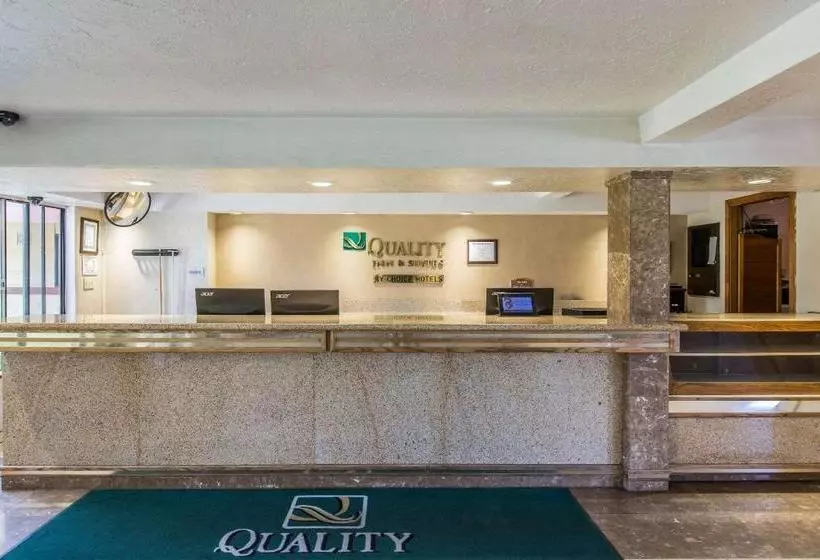 酒店 Quality Inn & Suites Bakersfield