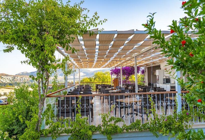 酒店 Riva Bodrum Resort Adult Only +16