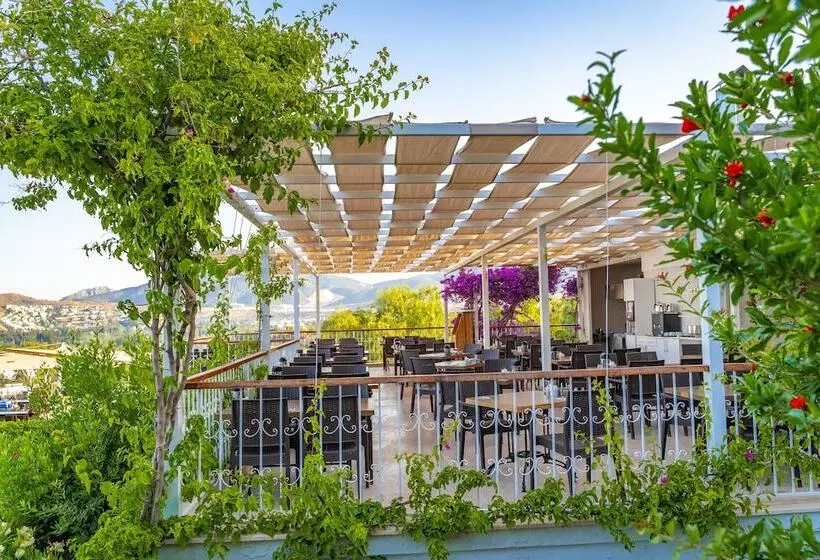 酒店 Riva Bodrum Resort Adult Only +16