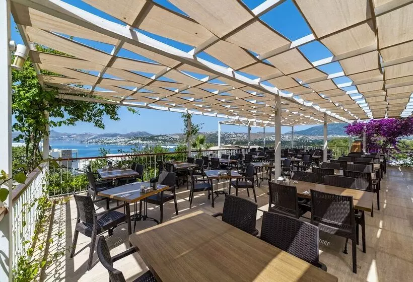 酒店 Riva Bodrum Resort Adult Only +16