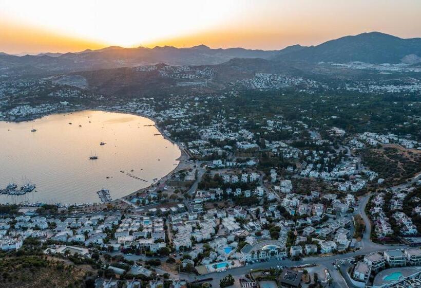 酒店 Riva Bodrum Resort Adult Only +16