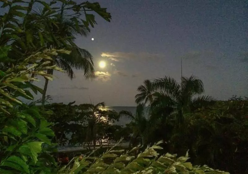 ホテル Roydon Beachfront Apartments