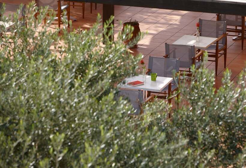 Отель Vasia Resort & Spa