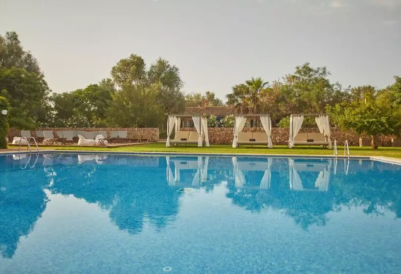 酒店 Zoetry Mallorca Wellness & Spa