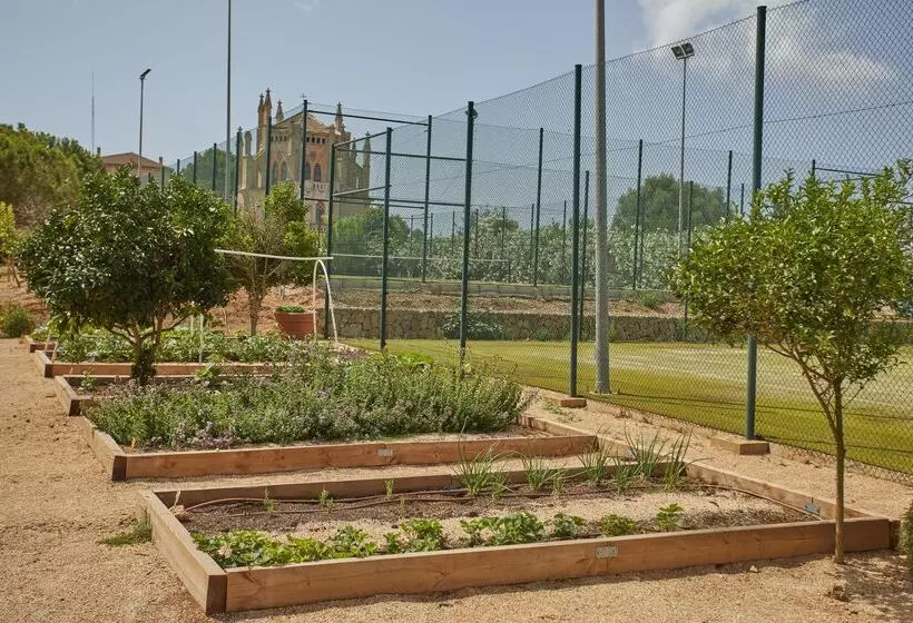 酒店 Zoetry Mallorca Wellness & Spa