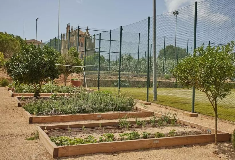 酒店 Zoetry Mallorca Wellness & Spa