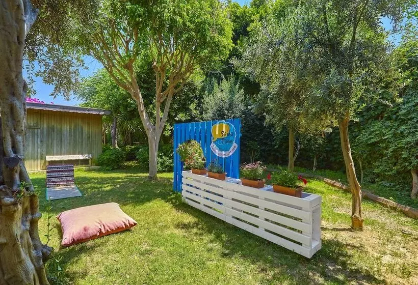 Telatiye Resort Hotel   All Inclusive