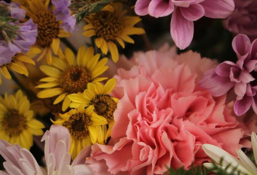 Ryokan Hachikogen Furusato Asagiriso