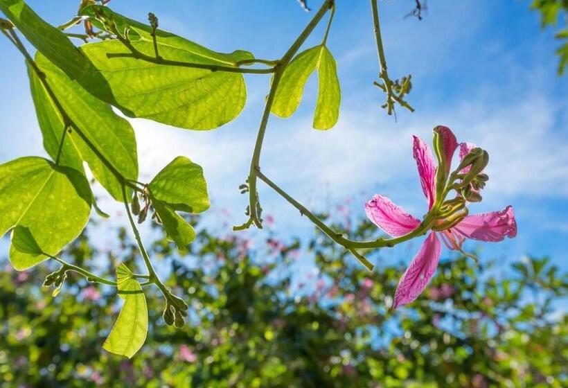 فندق Beringgis Beach Resort & Spa