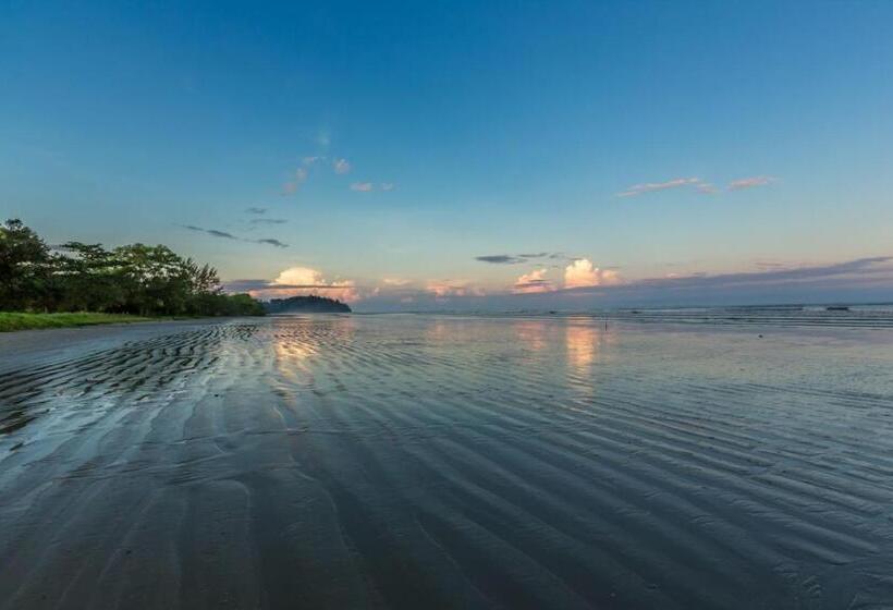 فندق Beringgis Beach Resort & Spa