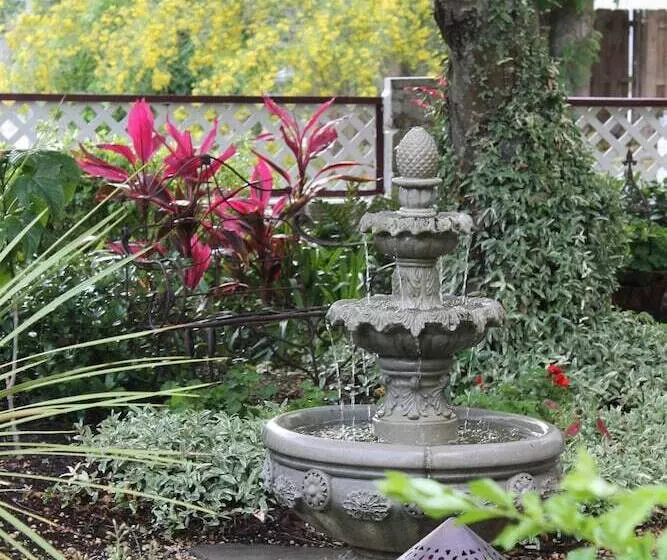 Hotel Cedar House Inn