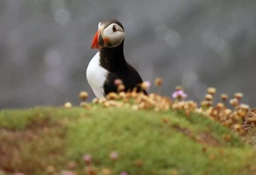 هتل Clayton Whites