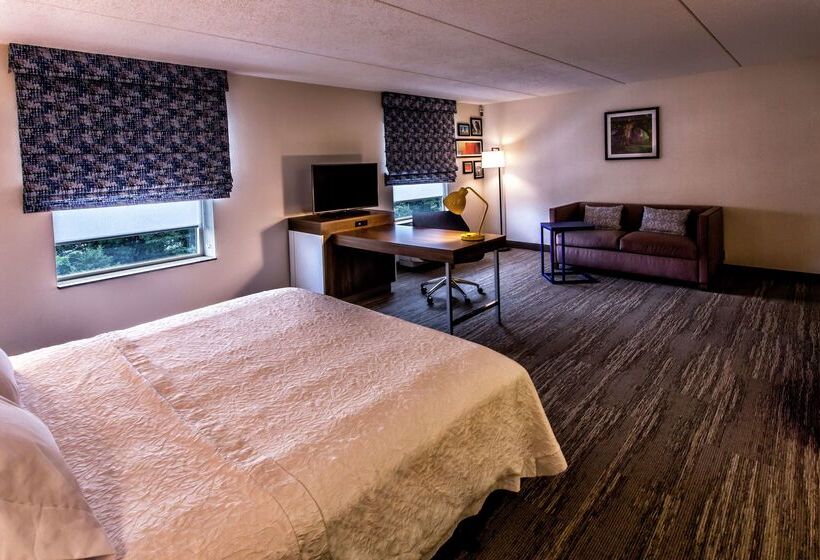 Отель Hampton Inn & Suites Staten Island