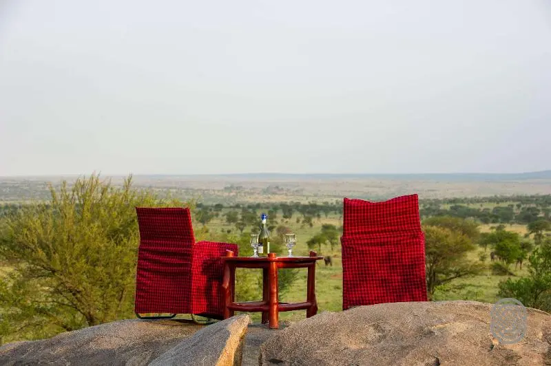 هتل Mbuzi Mawe Serena Camp