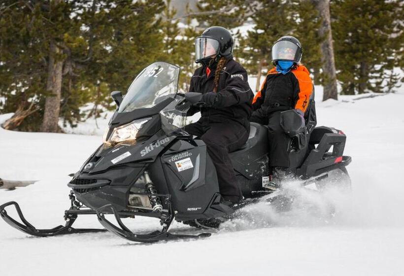 فندق Yellowstone Park