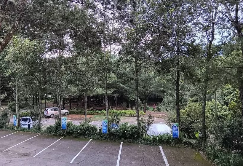هتل Zen And Pine Resort