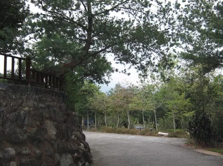 هتل Zen And Pine Resort