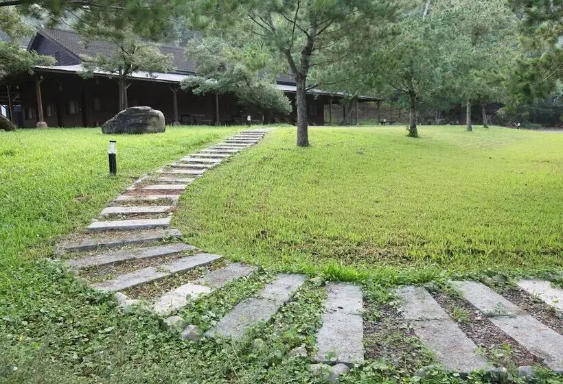 هتل Zen And Pine Resort