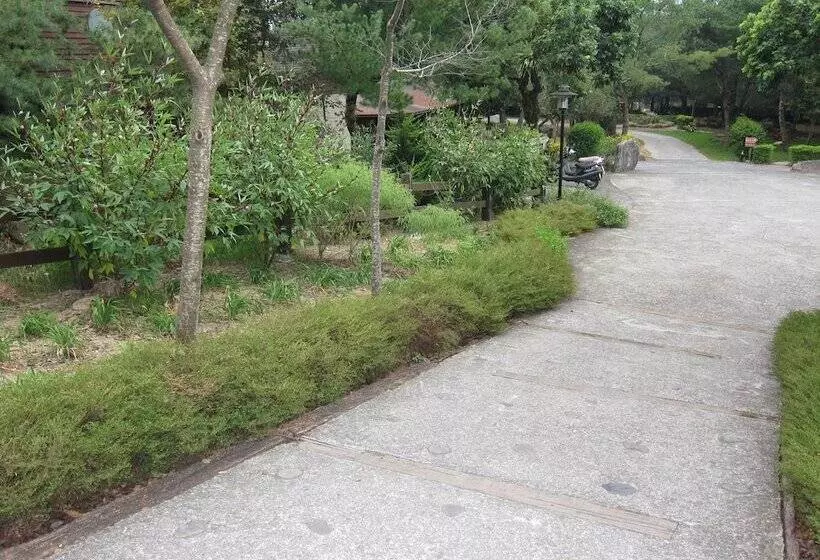 هتل Zen And Pine Resort