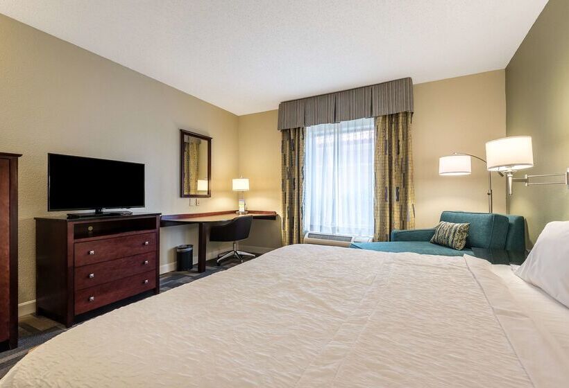 فندق Hampton Inn & Suites Orlando South Lake Buena Vista