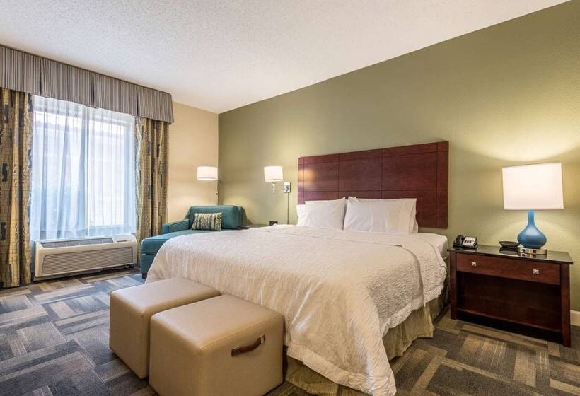 فندق Hampton Inn & Suites Orlando South Lake Buena Vista