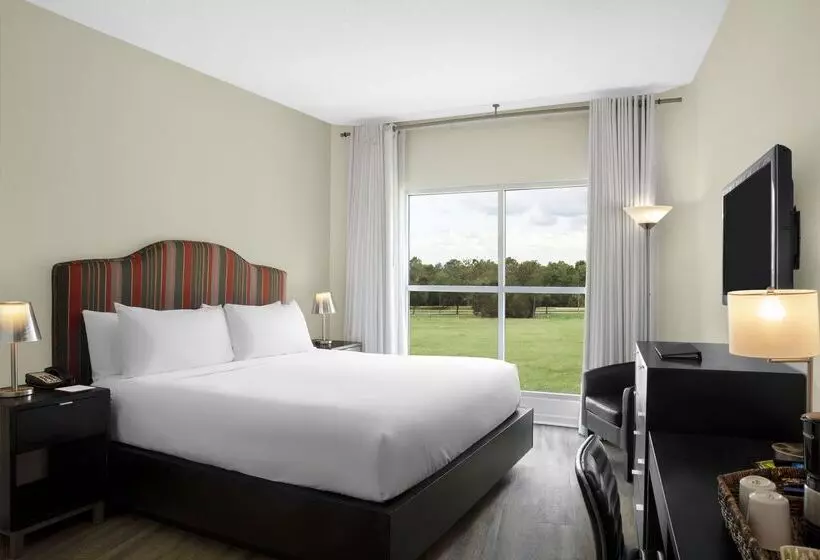 호텔 Meliá Orlando Celebration