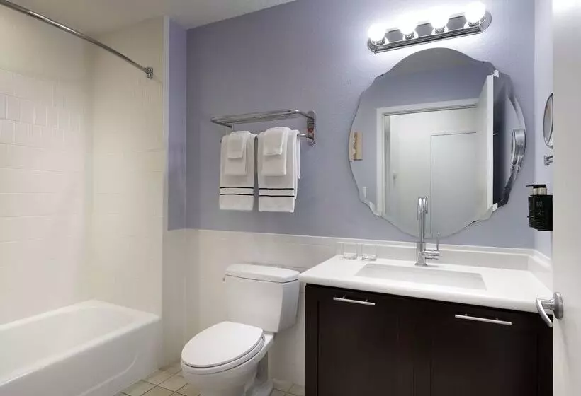 호텔 Meliá Orlando Celebration