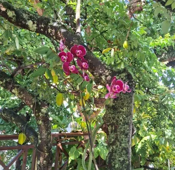 Отель Pedra Da Concha