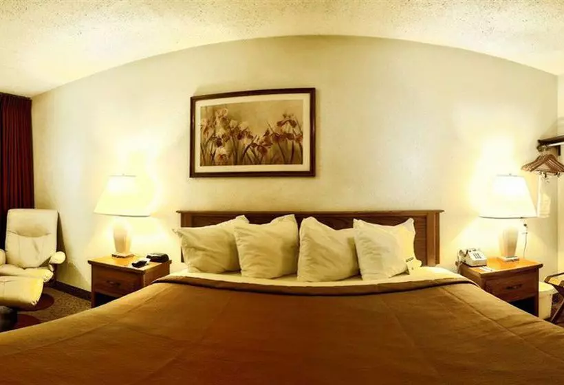 Отель Quality Inn