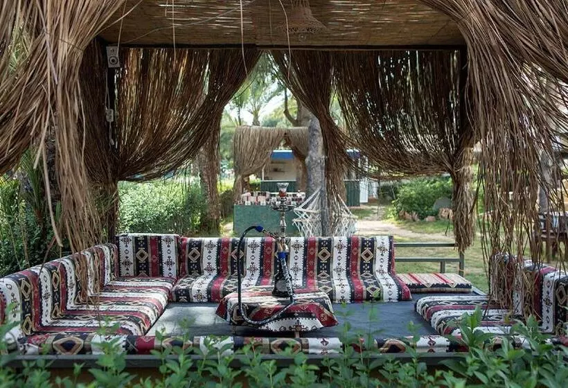 Hotel Club Turtas Beach   All Inclusive