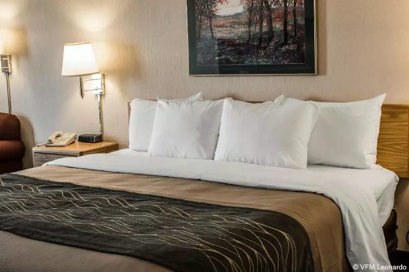 Отель Comfort Inn Charlotte
