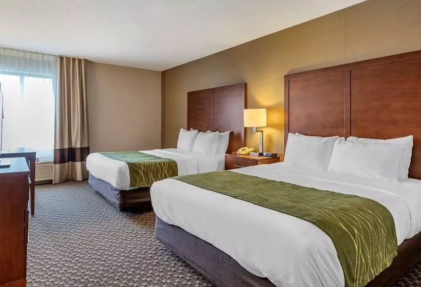 Отель Comfort Inn Charlotte