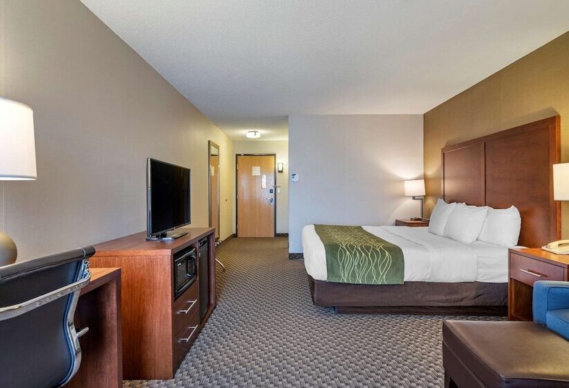 ホテル Comfort Inn Charlotte