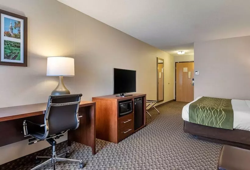 Отель Comfort Inn Charlotte