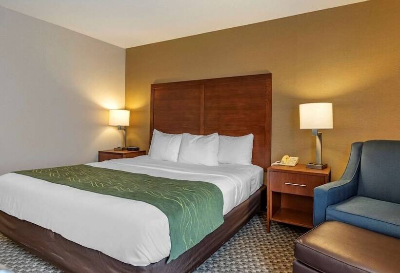 ホテル Comfort Inn Charlotte