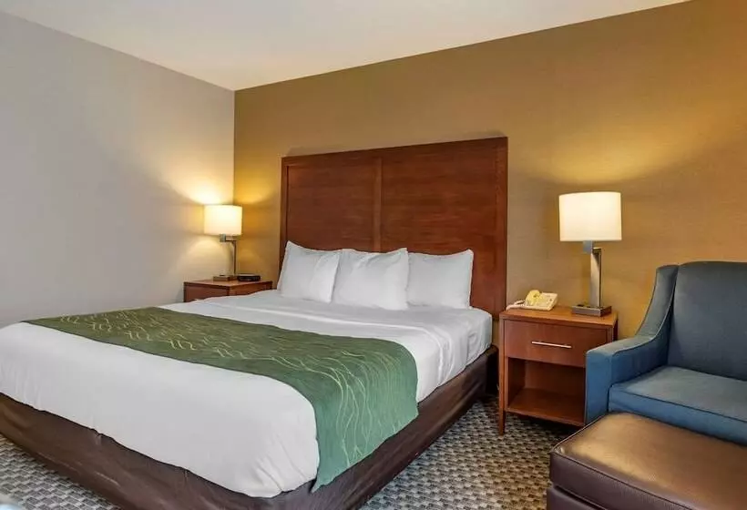 Отель Comfort Inn Charlotte