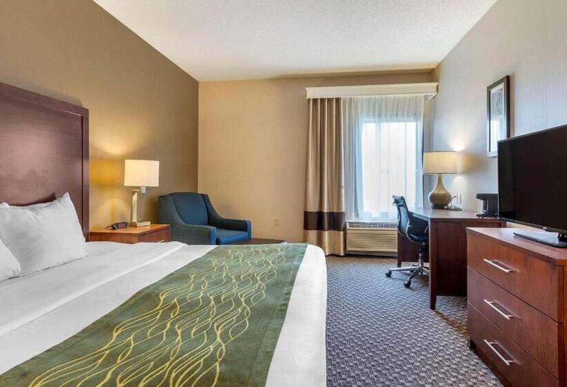 ホテル Comfort Inn Charlotte