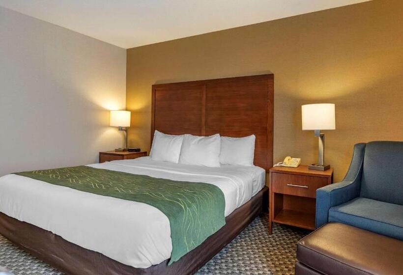 ホテル Comfort Inn Charlotte