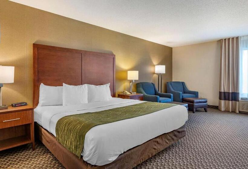 ホテル Comfort Inn Charlotte