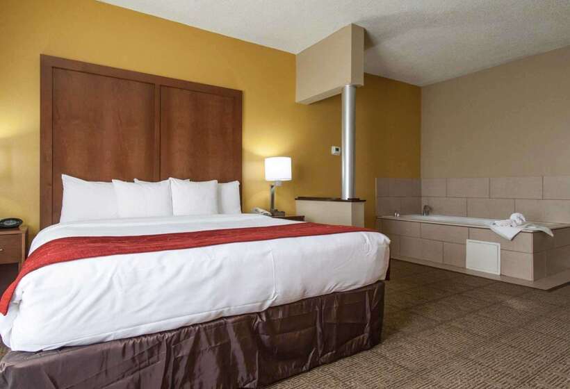 فندق Comfort Suites Central I 44