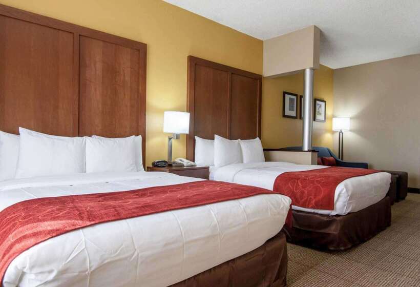 فندق Comfort Suites Central I 44