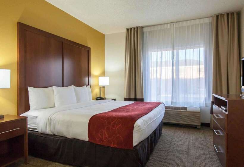 فندق Comfort Suites Central I 44