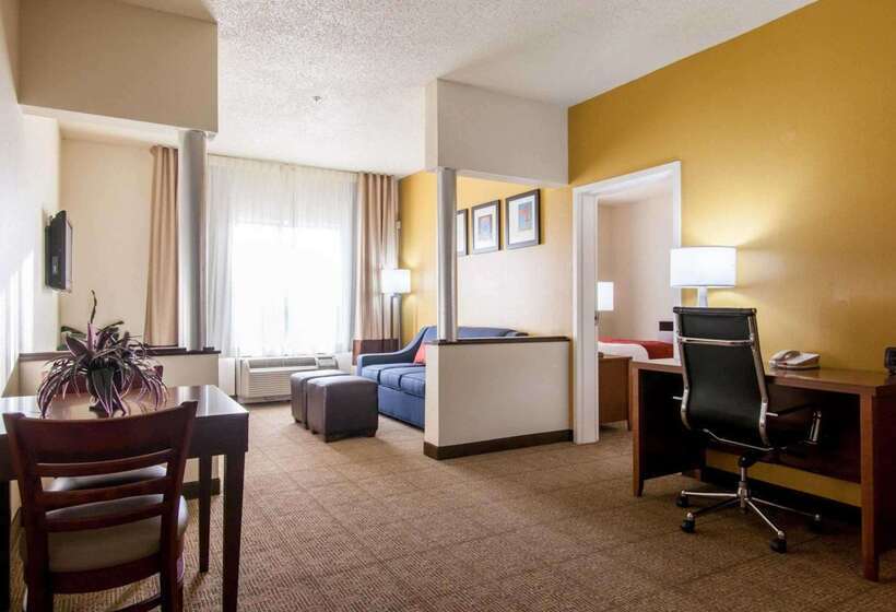فندق Comfort Suites Central I 44