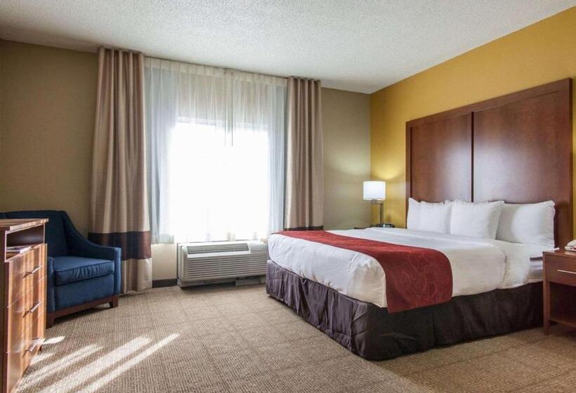 فندق Comfort Suites Central I 44