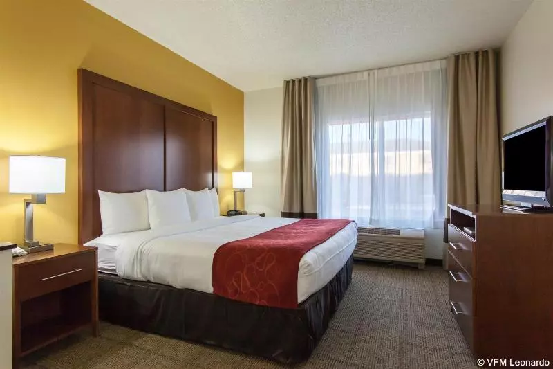 호텔 Comfort Suites Central I 44