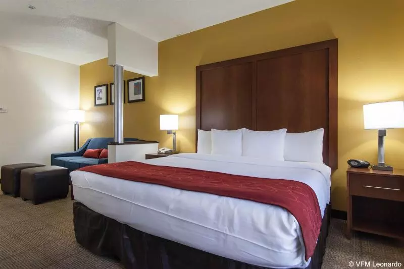 호텔 Comfort Suites Central I 44