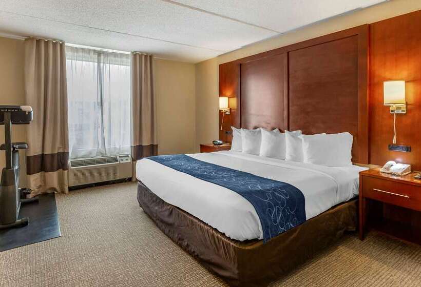 فندق Comfort Suites Manassas Battlefield Park